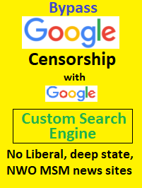 google custom search engine alt conservative 